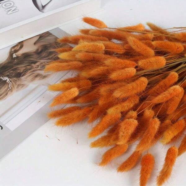 60 Orange Rabbit Tail Grass Dried Flower Bouquets - Suitable For Home Decoration, Desktop Decoration, Office Desk Desktop Center Ornaments - Long-Lasting And
