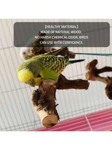 5 sztuk stojak na grzędę dla ptaków naturalny drewniany stojak na papugi gałąź, 3 grzędy z drewna winogronowego, 2 stojaki, widelec do mielenia łap, patyk do żucia dla papug, ćwiczenia treningowe gałęzie dla nimf, małe średnie ptaki
