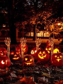 2 套户外万圣节装饰，太阳能，安装发光骷髅臂装饰，100 个 LED 紫色和橙色灯带，2 种模式，照亮节日派对家庭庭院小径花园，室内外装饰，恐怖装饰户外庭院草坪花园