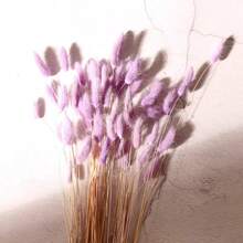 60/120/240 件波西米亚风格人造花 - 天然干燥兔尾巴蒲苇、多色蒲公英花，适用于家庭、婚礼、办公室、咖啡厅装饰、情人节和母亲节礼物 - 彩色 - 查看 17