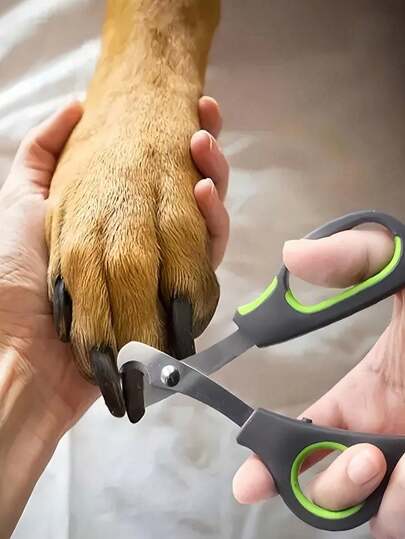 1pc Stainless Steel Pet Nail Clippers, Easy To Use & Clean, Fit For Cat Dog Rabbit Bird