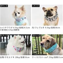 Pet Collars - Rainbow - View 5