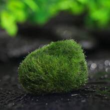 2023年新款1块仿苔藓植绒石假石草坪微景观摆件装饰配件家居装饰 - 綠色 - 查看 3