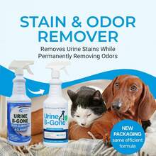 Urine B-Gone, Professional Enzyme Odor Eliminator & Pet Stain Remover, Human, Cat & Dog Urine Cleaner, Effective On Laundry, Carpets & More, Original Scent, 32oz, Pack Of Two,6481961 - 米色 - 查看 5