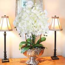 1/3/5 piezas de 70 cm Ramas de flores de orquídea Phalaenopsis artificiales de tacto real para decoración del hogar, oficina, boda, verano, otoño, escuela, dormitorio, oficina, fiesta, vacaciones, cumpleaños, 4 estaciones, puerta, hotel, restaurante, sala de estar, dormitorio, boda, cocina, jardín, rosa decorativa, estilo decorativo