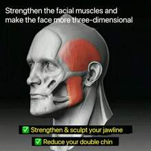 1pc Chin Exerciser, Facial Muscle Trainer, Silicone Chewing Exerciser,Silicone Chewing Exerciser Jawline Sculpting Fitness Ball Enhance Facial Muscles Reduce Double Chin With Facial Jaw Exerciser Gym Ball,Beauty,Skin Care Products,Spa,Self Care,Skin Care Tools,Face Care,Esthetician Supplies,Massage,Face Massage Tool,Face Roller