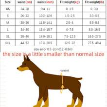 Culottes pour chien pendant les règles Sous-vêtements pour animaux de compagnie femelles Pantalons de règles pour chat ou chien