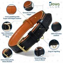 Pet Basic Dog Collars - Black - View 3
