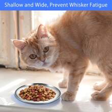 2 piezas/3 piezas Tazón plano para mascotas con borde ancho de acero inoxidable, bandeja de alimentación para perros y gatos pequeños de interior