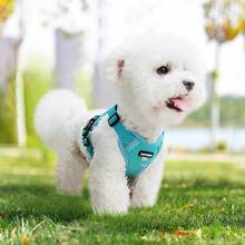 New Printed Pet Chest Back Strap + Leash Set Breathable Mesh With Reflective Strip, Adjustable, Soft And Comfortable Walking Rope For Small Dogs