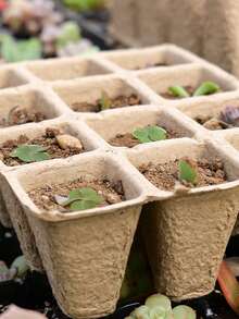10/20/50 格，育苗盆托盘，泥炭盆育苗盆，育苗套件，有机发芽植物育苗托盘