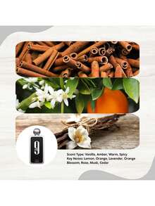 Perfume Af nan 9PM for Men 100ML EDP Spray Perfumes De Hombre Ofertas