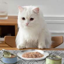 2 piezas/3 piezas Tazón plano para mascotas con borde ancho de acero inoxidable, bandeja de alimentación para perros y gatos pequeños de interior