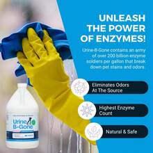Urine B-Gone, Professional Enzyme Odor Eliminator & Pet Stain Remover, Human, Cat & Dog Urine Cleaner, Effective On Laundry, Carpets & More, Lavender Scent, 1 Gallon,6481963 - 薄荷藍 - 查看 1