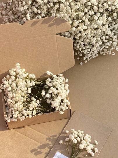 50/100 Stücke/Box Mini Schleierkraut Blumen und andere getrocknete Blumen - für Harz Gießkunst und Handwerksarbeiten, Elfenbeinweiße Blumenstrauß für Haarzubehör, Hochzeitskranz, Tischvase, Heimdekoration