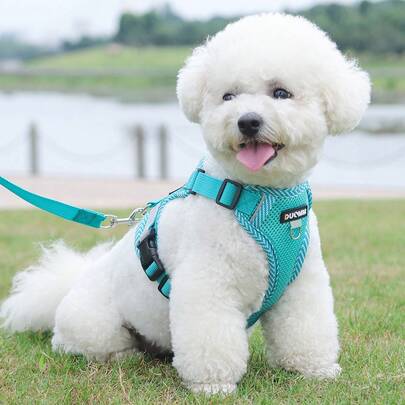 New Printed Pet Chest Back Strap + Leash Set Breathable Mesh With Reflective Strip, Adjustable, Soft And Comfortable Walking Rope For Small Dogs