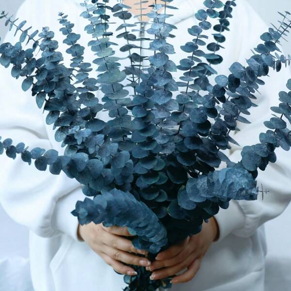 10/20 tallos de eucalipto azul preservado - Eucalipto colgante de 17" para la ducha, hojas verdes para decoración del hogar estilo bohochic, arreglos para primavera, Día de San Valentín y Día de San Patricio