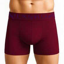 Kit 10 Microfiber Boxer Briefs Men's Box Adult Seamless Underwear Original Mengrow Wholesale - Clasificado - Ver 8