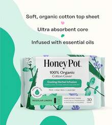 Honey Pot Company - Herbal Pads For Women - Super W/Wings - Infused W/Essential Oils For Cooling Effect, Organic Cotton Cover, & Ultra-Absorbent Pulp Core - Feminine Care - FSA & HSA - 16 Ct - 草本日常護墊 - 查看 4