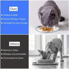 2 piezas/3 piezas Tazón plano para mascotas con borde ancho de acero inoxidable, bandeja de alimentación para perros y gatos pequeños de interior