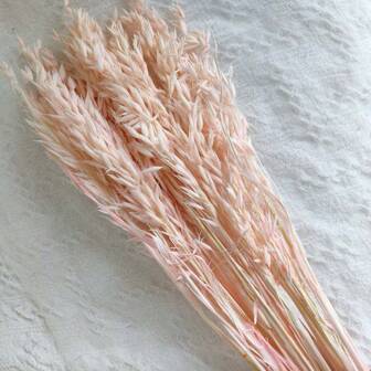 15/30/60pcs Pink Oat Flower Stems, Suitable For Home Vase Arrangement, Handmade DIY Projects, Valentine's Day, Mother's Day, Christmas Cards Decoration