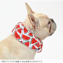 Pet Collars - Rainbow - View 7