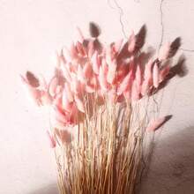 60/120/240 件波西米亚风格人造花 - 天然干燥兔尾巴蒲苇、多色蒲公英花，适用于家庭、婚礼、办公室、咖啡厅装饰、情人节和母亲节礼物 - 彩色 - 查看 19