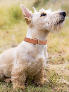 撞色复古皮革宠物项圈 - 防爆可调节狗项圈，适合小型、中型和大型犬 - 藏蓝色 - 查看 10