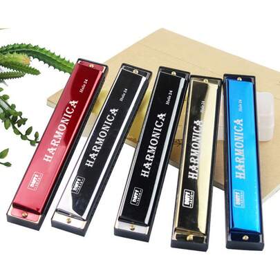 Armónica de 24 agujeros en tono de Do con estuche, armónica de boca, armónica diatónica para principiantes, adultos, profesionales, amigos, regalos