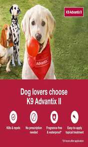 K9 Advantix II Medium Dog Vet-Recommended Flea, Tick &Amp; Mosquito Treatment &Amp; Prevention | Dogs 11-20 Lbs | 1-Mo Supply - 1 gói - Xem 3