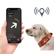 Correa con estuche protector para perros del Rastreador Anti-Pérdida Airtag de Apple