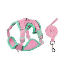Pet Harness And Leash Sets Adjustable Harness For Small Dog Leash Color Splicing Breathable Pet Harness Out Walking Cat Dog Strap