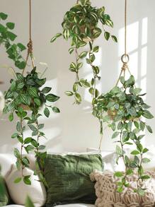 1/2/4pcs Artificial Plants, Hitchhike,Four Choices,A,Red Zebrina,Inchplant,B,Green Zebrina,C,Peperomia,D,Fittonia Inchplant Green Decorations Without Pots For Year Round Decorations, School Dormitory, Office Decorations, Parties, Birthdays, Home Decorations, Decorations For Hotels, Restaurants, Living Rooms, Bedrooms, Weddings, Kitchens And Garden Decorations