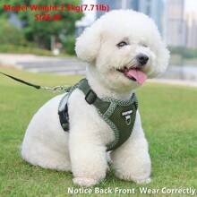 New Printed Pet Chest Back Strap + Leash Set Breathable Mesh With Reflective Strip, Adjustable, Soft And Comfortable Walking Rope For Small Dogs