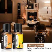 1 Pezzo da 0,34 fl. once Olio essenziale aromaterapico idrosolubile a lunga durata, fragranza rinfrescante e non irritante, aiuta a purificare l aria, calmare la mente e rilassare, adatto per salotti, camere da letto, bagni, uffici, interni di auto ecc. Compatibile sia con pietre per diffusori che con macchine per aromi, senza alcol