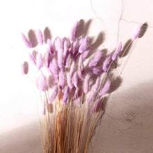 60/120/240 件波西米亚风格人造花 - 天然干燥兔尾巴蒲苇、多色蒲公英花，适用于家庭、婚礼、办公室、咖啡厅装饰、情人节和母亲节礼物 - 彩色 - 查看 21