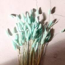60/120/240 件波西米亚风格人造花 - 天然干燥兔尾巴蒲苇、多色蒲公英花，适用于家庭、婚礼、办公室、咖啡厅装饰、情人节和母亲节礼物 - 彩色 - 查看 15