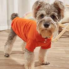 1 件狗狗 T 恤，透气宠物衬衫，小狗运动衫狗狗衣服服装外套小型犬宠物服装 POLO 衫 - 橘色 - 查看 3