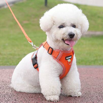 1套可愛的狗狗胸帶和牽繩套裝,逃脫證証透氣小型犬胸帶可調節,適用於散步,慢跑,戶外寵物馬甲橙色