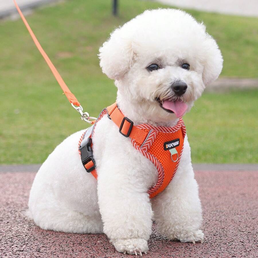 一套可爱狗狗胸背带和牵引绳,透气小型犬胸带,可调节宠物胸背带,适合散步、慢跑、户外活动,橙色 - 橘色 - 查看 1