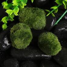 2023年新款1块仿苔藓植绒石假石草坪微景观摆件装饰配件家居装饰 - 綠色 - 查看 8