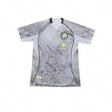 Jersey America 2025 / Gris - Gris - Ver 1