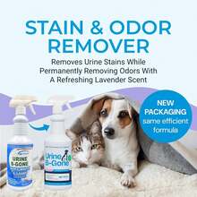 Urine B-Gone, Professional Enzyme Odor Eliminator & Pet Stain Remover, Human, Cat & Dog Urine Cleaner, Effective On Laundry, Carpets & More, Lavender Scent, 32oz, Pack Of Two,6481966 - 青檸色 - 查看 6