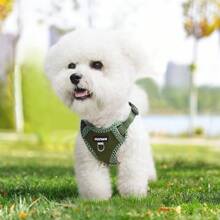 New Printed Pet Chest Back Strap + Leash Set Breathable Mesh With Reflective Strip, Adjustable, Soft And Comfortable Walking Rope For Small Dogs