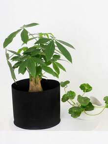 5 加仑可重复使用种植袋，加厚无纺布种植袋带手柄 - 透气无纺布，轻便便携式蔬菜、花卉、番茄、土豆、水果种植箱 - 室内/室外园艺，节省空间的设计，黑色，种植袋，水果种植，经典种植箱外观，耐用种植箱，透气面料