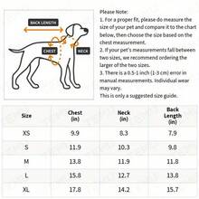 1件装可爱蜜蜂宠物连帽衫 - 适合体重低于17.64磅的小型犬，采用耐用涤纶套头衫面料，饰有可爱的蜜蜂图案，四季皆宜，是秋冬季节和客厅装饰的理想之选。 - 彩色 - 查看 9
