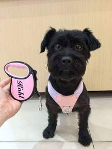 1pc Automatic Retractable Pet Leash With Custom Pet Name, Rope Length 3m/5m, Suitable For Cats And Small Medium Dogs, Personalized Colorful Pet Walking Leash - Multicolor - View 8