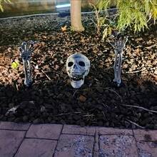 Décorations d'Halloween, crâne de simulation, squelette de figurines, mains de fantôme, figurines de squelette, mains de squelette