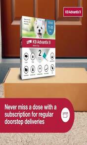 K9 Advantix II Medium Dog Vet-Recommended Flea, Tick &Amp; Mosquito Treatment &Amp; Prevention | Dogs 11-20 Lbs | 1-Mo Supply - 1 gói - Xem 8