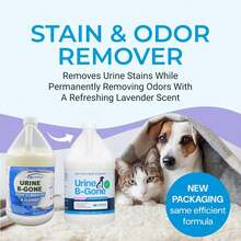 Urine B-Gone, Professional Enzyme Odor Eliminator & Pet Stain Remover, Human, Cat & Dog Urine Cleaner, Effective On Laundry, Carpets & More, Lavender Scent, 1 Gallon,6481963 - 薄荷藍 - 查看 5
